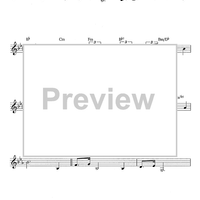 Peter von Scholten - C Instruments