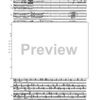 Birds In Light - Full Score