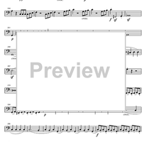 String Quintet C Major Op.29 - Cello