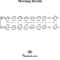 Morning Herald