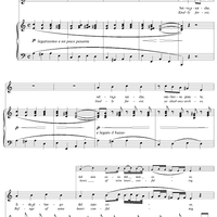 Selve amiche, ombrose piante  (Kindly Forest)