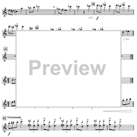 Harry's Wondrous World