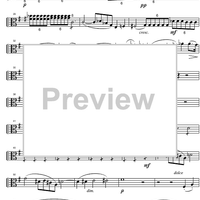 String Quintet G Major Op.33 - Viola 1