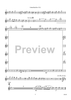 Cotton-Eyed Joe - Flute 2