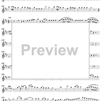 Sonata in D major op. 23, no. 1 - Flute