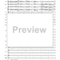 Harry Potter Symphonic Suite - Score