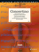 Concerto in B minor