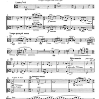 Am Wege zum Licht - Viola