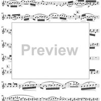 Grand Duo in D Major , Op. 39, No. 3 - Flute 2