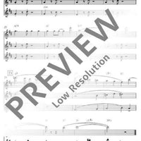 Flute Fun - Performing Score