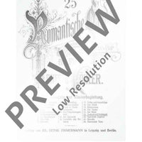 25 Romantische Etüden