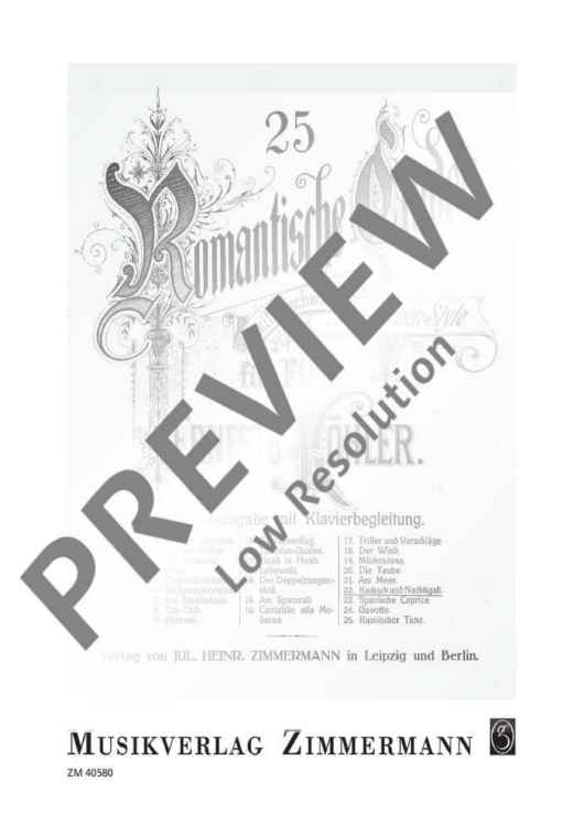 25 Romantische Etüden