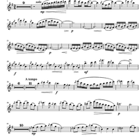 Argentinian Rhapsody - Flute