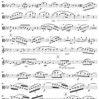 Viola Sonata No. 1 - Viola