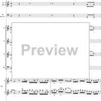 Messe (Credo-Messe) from Mass No. 11 in C Major, K257