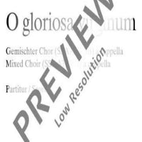 O gloriosa virginum - Score