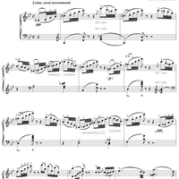 Waldszenen, Op. 82, No. 7 Vogel als Prophet