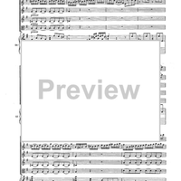 Double Concerto for Recorder and Flute in E minor - Score