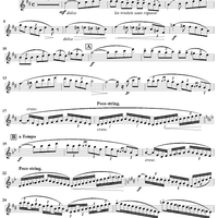 Concertino, Op. 107 - Flute