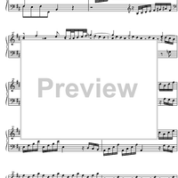 Concerto b minor BWV 979