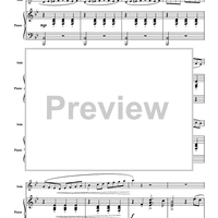 The Yellow Rose of Texas Variations - Piano Score