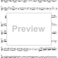 Concerto in D Minor - Violin 1