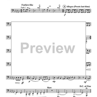 Hawaiian Quintet - Tuba 2