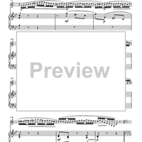 Variations on “Là ci darem la mano”