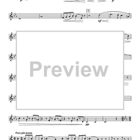 Quintet No. 3, Op. 7 - Horn