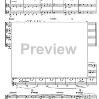 Divertimento preistorico - Score