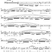 "Gleichwie die wilden Meeres-Wellen", Aria, No. 3 from Cantata No. 178: "Wo Gott der Herr nicht bei uns hält" - Bass