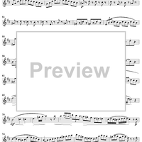 Trois Grands Duos, op. 87/3, flute 2