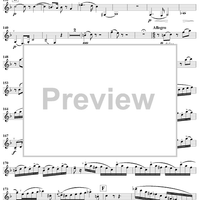 Clarinet Concertino in E-flat Major, Op. 26 - Clarinet