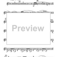 Concerto for Bass Clarinet - Bass Clarinet