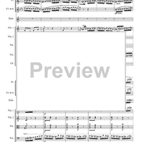 The Flight of the Bumblebee from the opera "Tsar Sultan" - Score