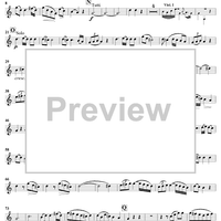 Horn Concerto No. 4 in E-flat Major, K495 - Horn