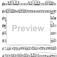 Preliminary studies to 'The Accomplished Clarinettist' Vol. 2 - Clarinet