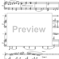 Argentinian Rhapsody - Score