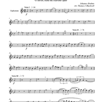 O Heiland, reisz die Himmel auf, Op. 74, No. 2 - Euphonium TC (Opt. Horn)
