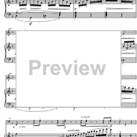 Sonata in D minor - Score