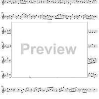 Sonata No. 6 in D Minor - Violin