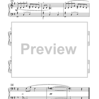 A Gentle Ocean Breeze