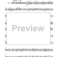 From Dylan's Land - Tuba 1