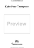 Echo pour Trompette