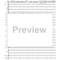 Harry Potter Symphonic Suite - Score