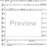 Le carnaval des animaux - Percussion