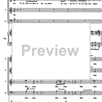 Te Deum laudamus - "da pacem"