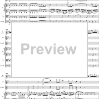 Flute Concerto No. 1 in G Major K285c (K313) - Full Score