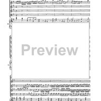 Double Concerto for Recorder and Flute in E minor - Score