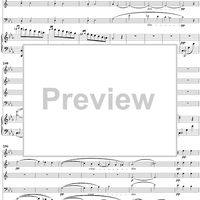 Quintet in C Minor, Movement 3 - Piano Score